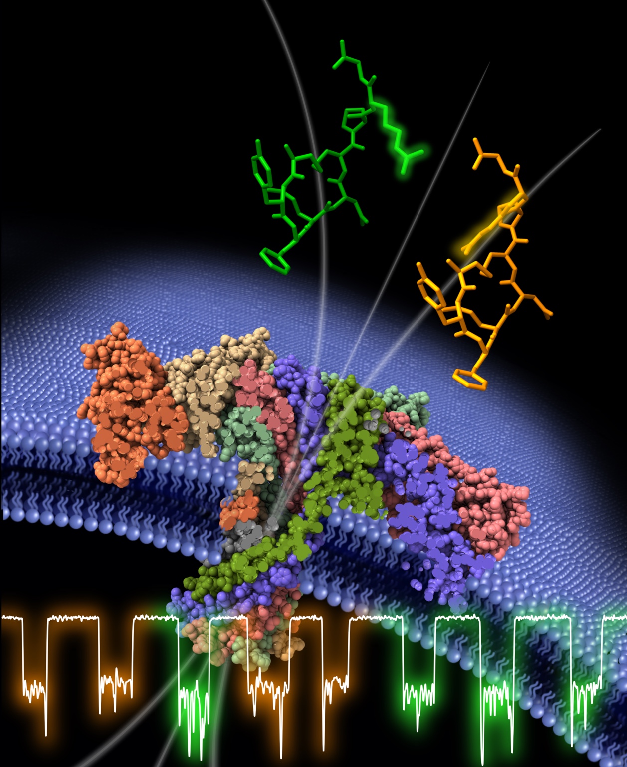 ACS Central Science cover featuring the 2024 nanopore biomarker study